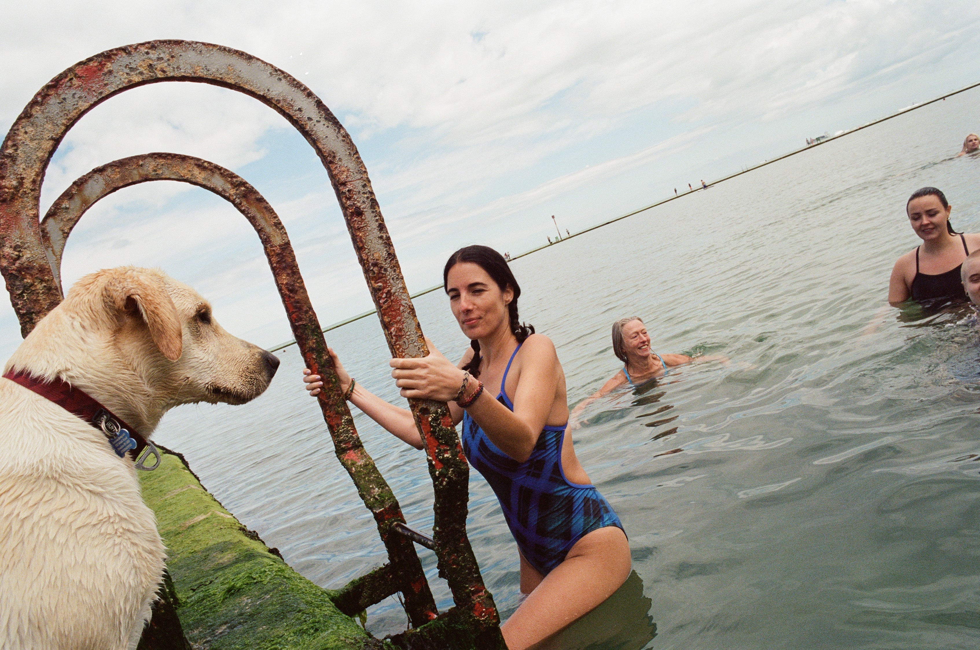 WHY WE SWIM