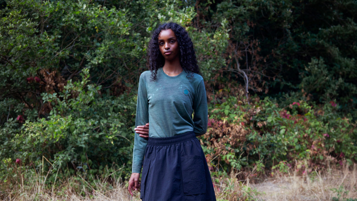 THE MERINO COLLECTION