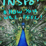 blue peacock with green feathers out and text saying inspo *how you will feel