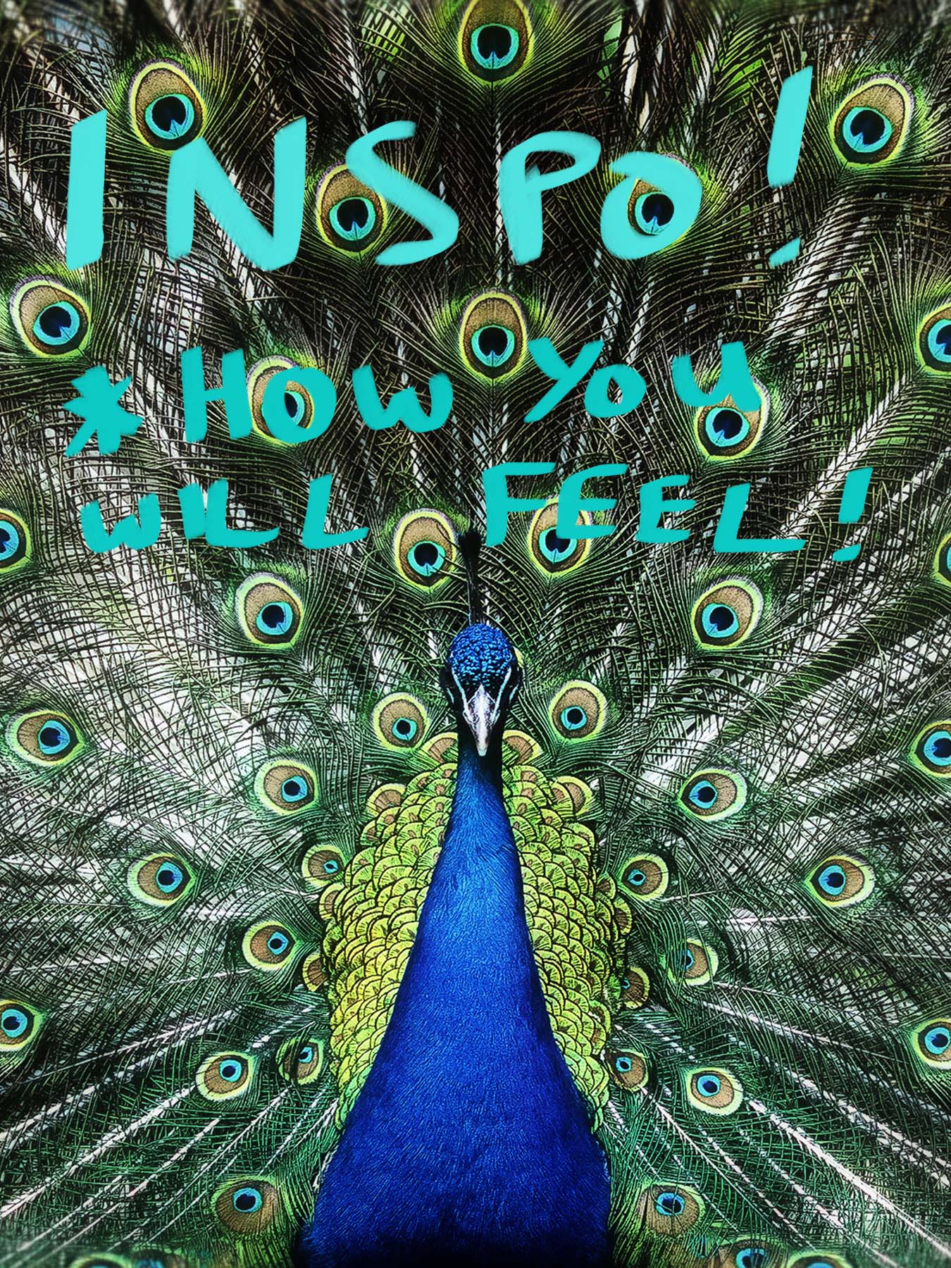 blue peacock with green feathers out and text saying inspo *how you will feel